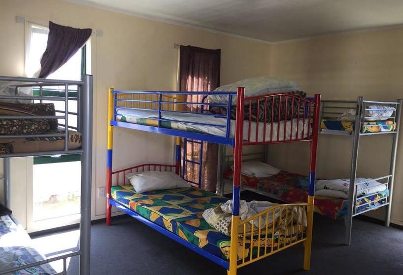 Hostel Peace Haven Backpackers 4