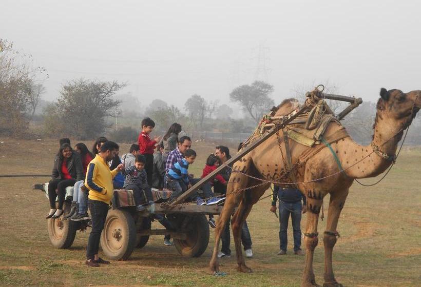 Bed and Breakfast Surjivan Resorts 11