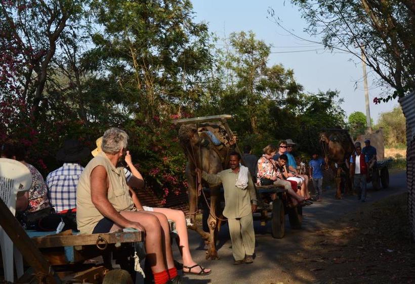 Bed and Breakfast Surjivan Resorts 19