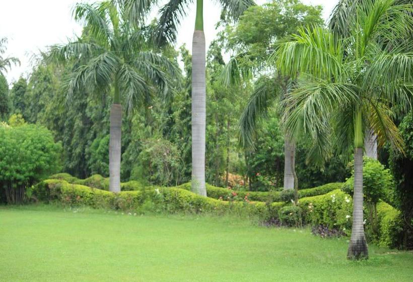 Bed and Breakfast Surjivan Resorts 6