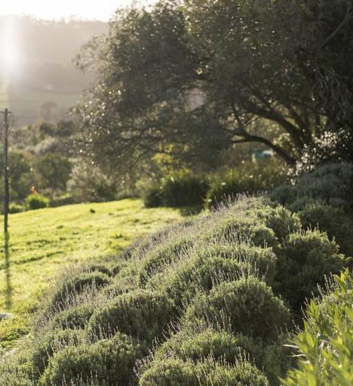 Bed and Breakfast Hillfarm House 17