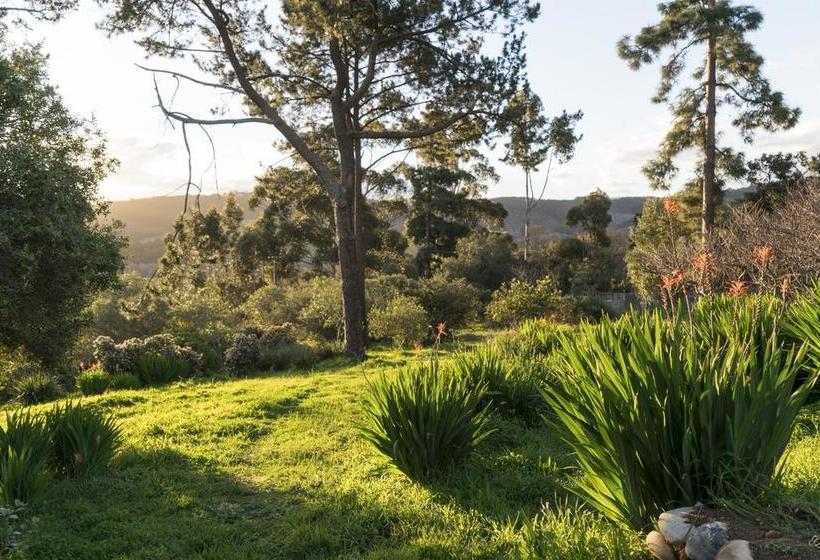 Bed and Breakfast Hillfarm House 3