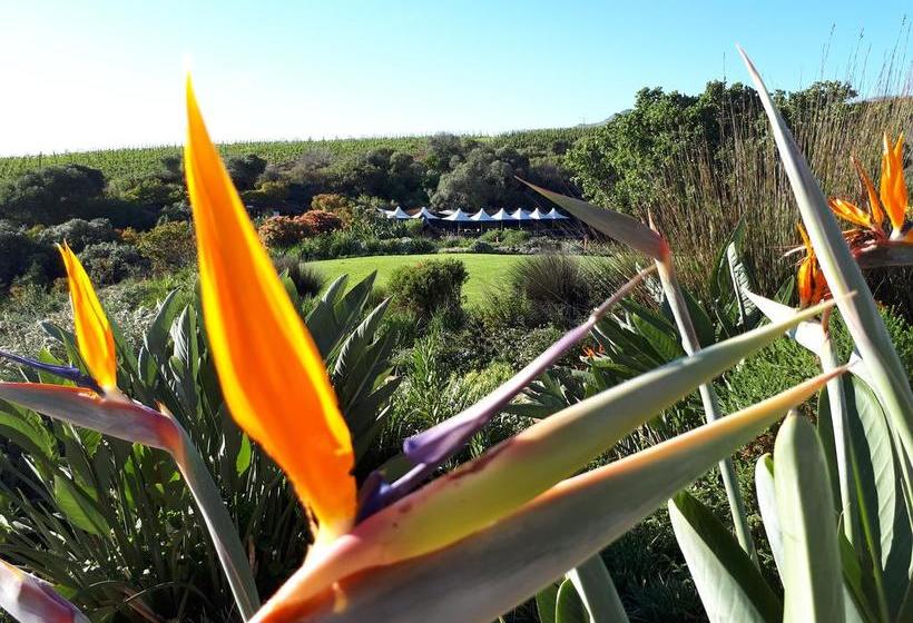 Bed and Breakfast Adrian D Cap Western Cape