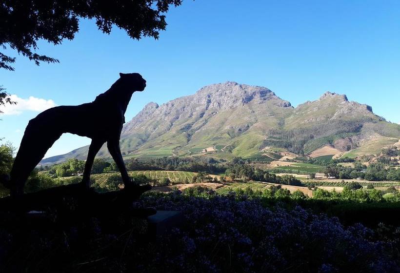 Bed and Breakfast Adrian D Cap 9