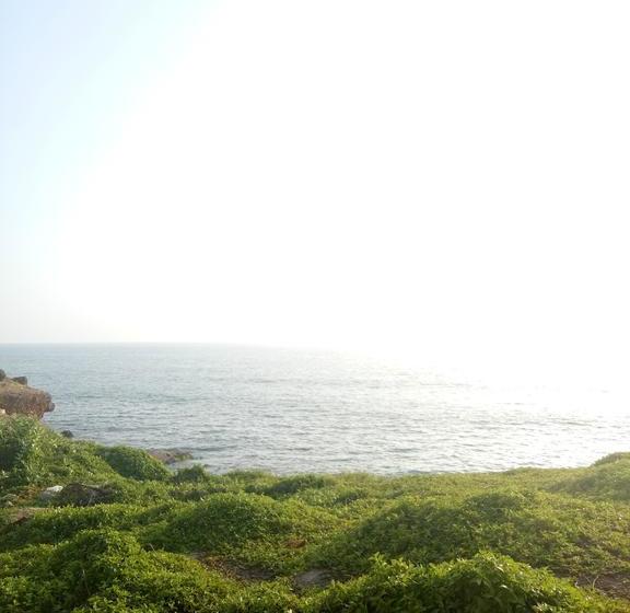 Vrindaayurvedabeachresort 7