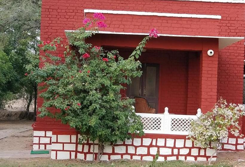 Resort Thar Exotica 6