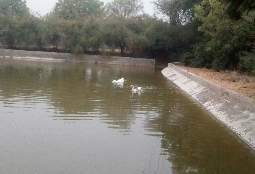 Resort Thar Exotica 8