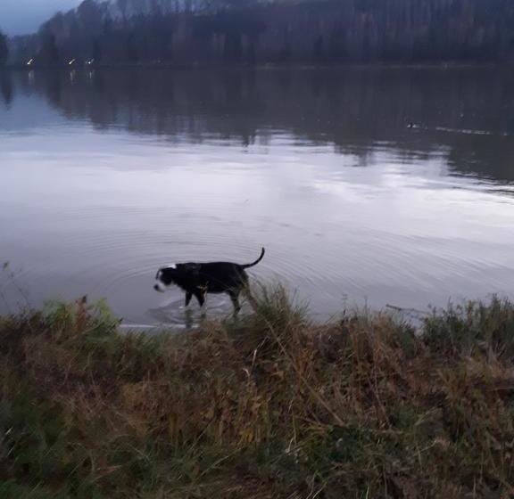 Hotel Gasthof Alte Schiffspost 16