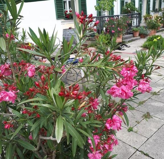 Hotel Gasthof Alte Schiffspost 2