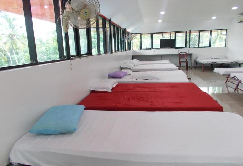 Hotel Lloyds Dormitory 10