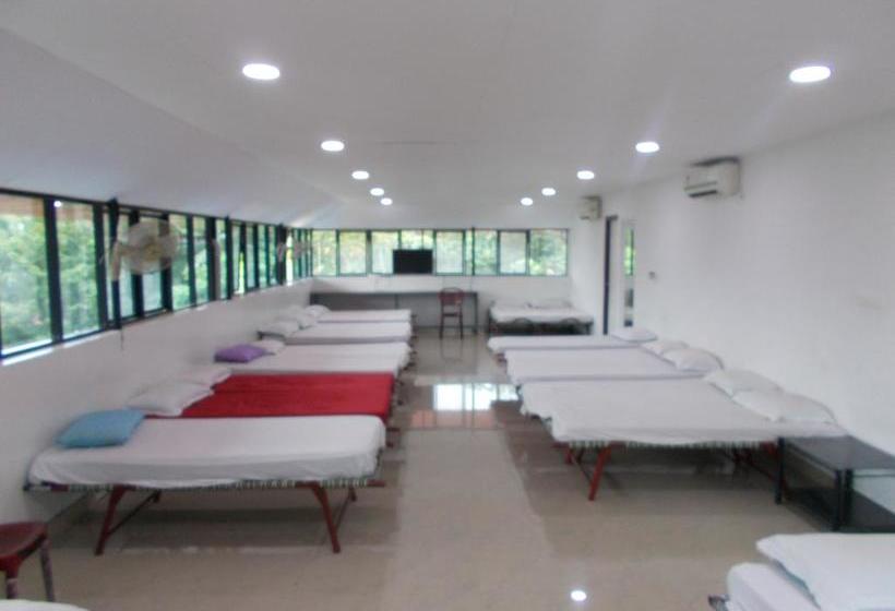 Hotel Lloyds Dormitory 13