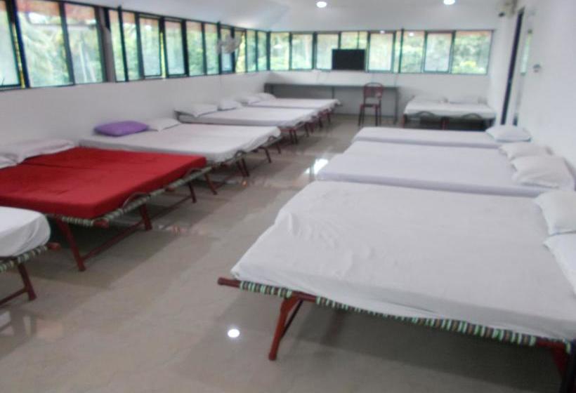 Hotel Lloyds Dormitory 15