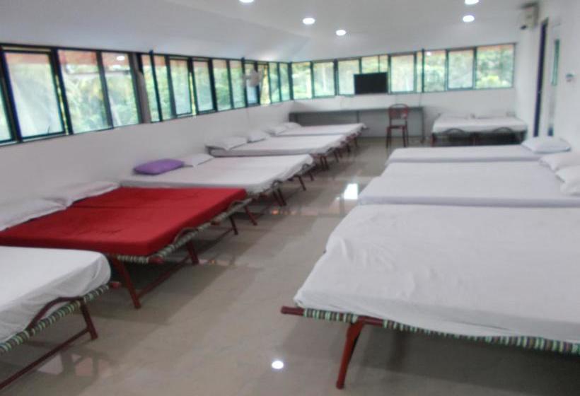 Hotel Lloyds Dormitory 4