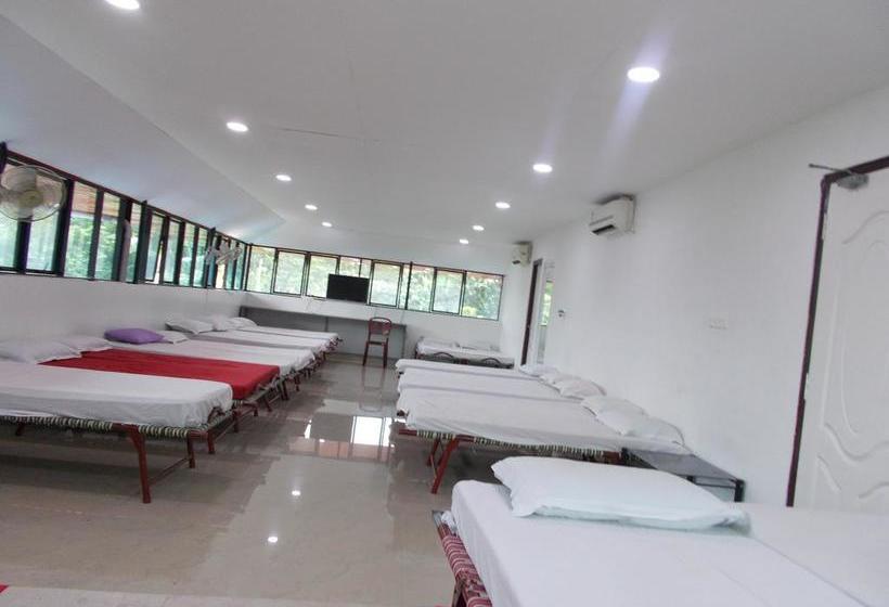 Hotel Lloyds Dormitory 5