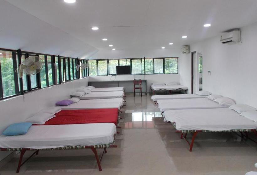 Hotel Lloyds Dormitory 7