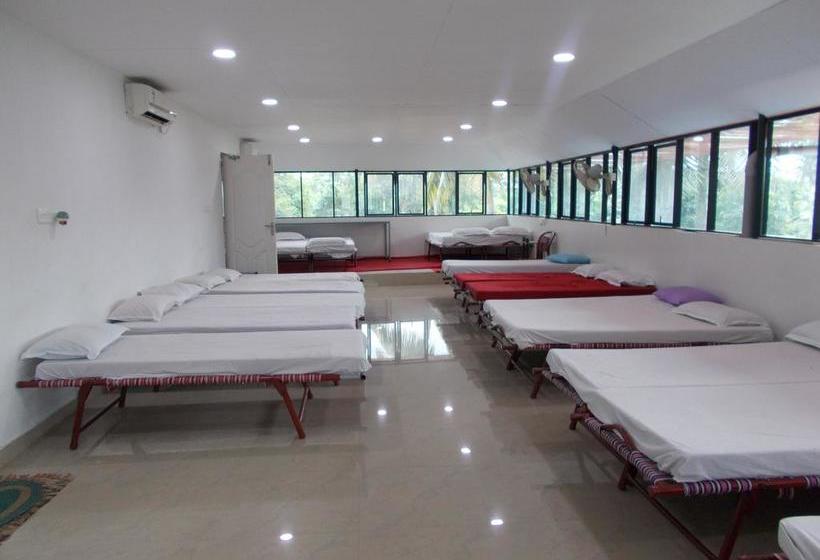 Hotel Lloyds Dormitory 8