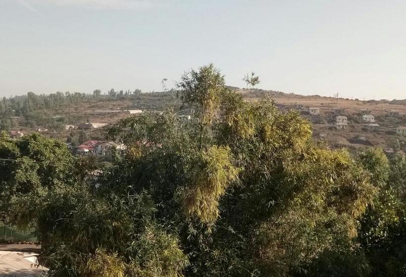 Hotel Oyo 11439 Shivanya Palace 13