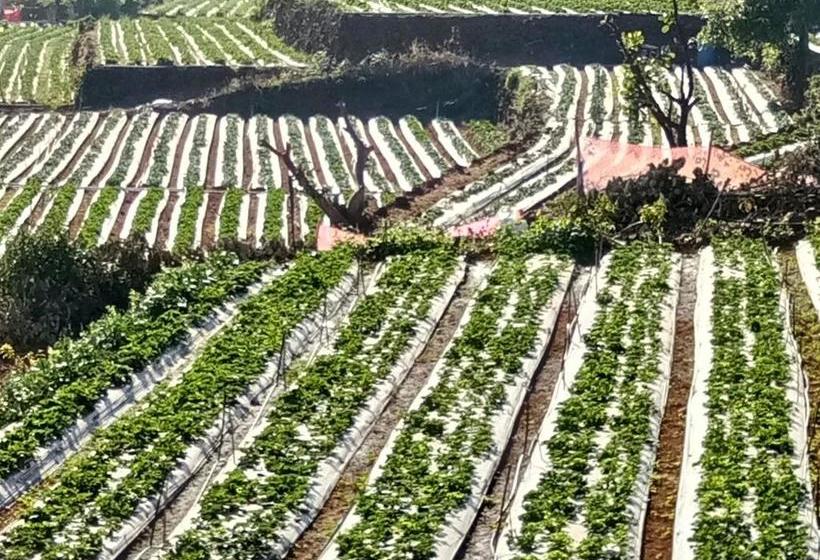 Hotel Oyo 11439 Shivanya Palace 14