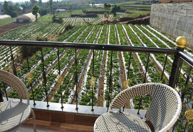 Hotel Oyo 11439 Shivanya Palace 3