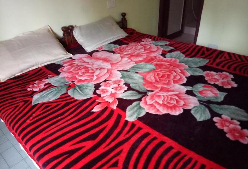 Hotel Sj Guest House 10