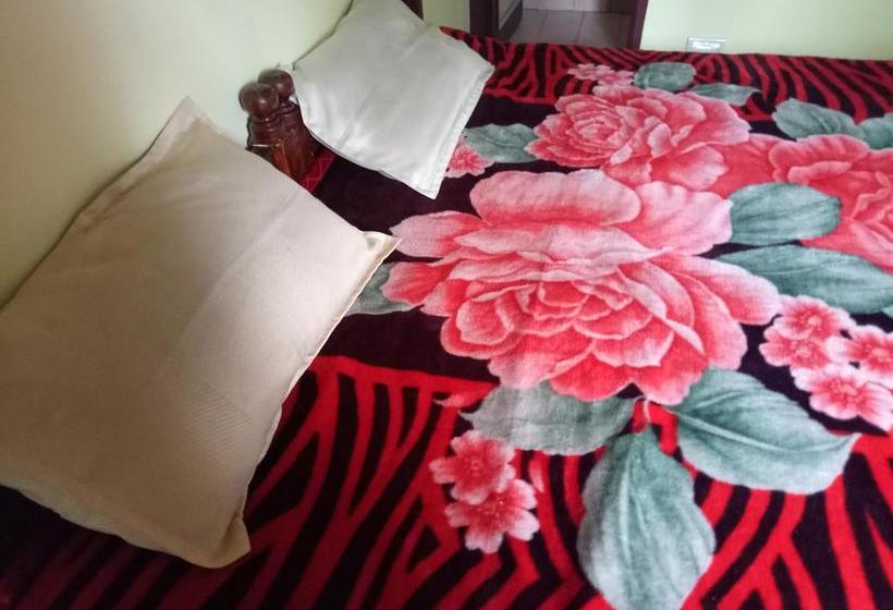 Hotel Sj Guest House 13