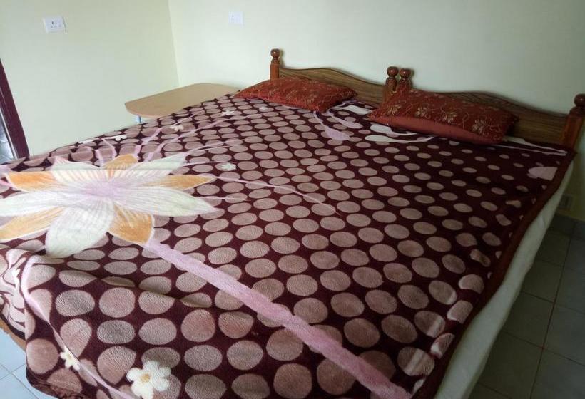 Hotel Sj Guest House 19