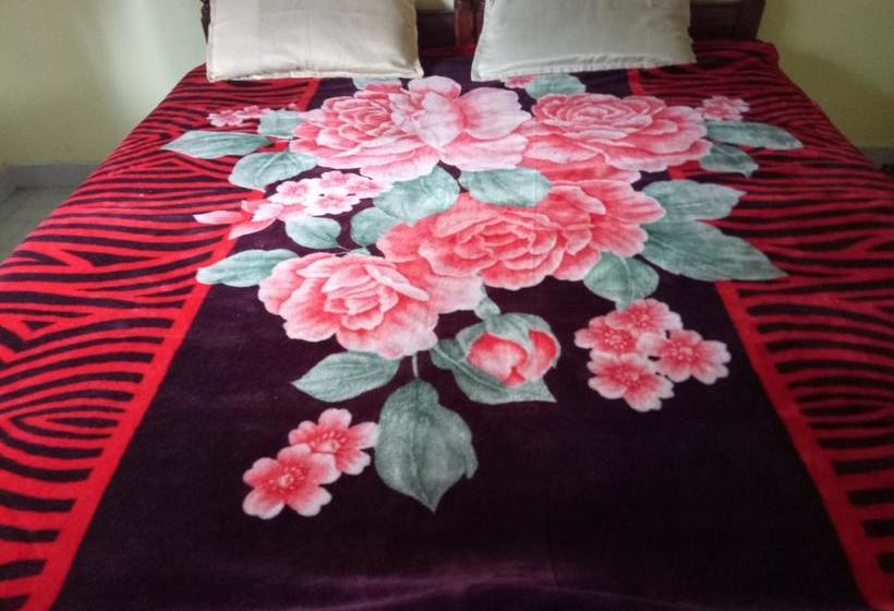 Hotel Sj Guest House 4