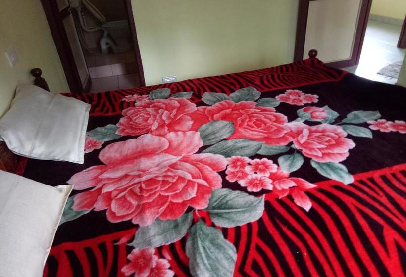 Hotel Sj Guest House 5