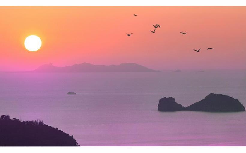 Bed and Breakfast Oasis De Madame 1