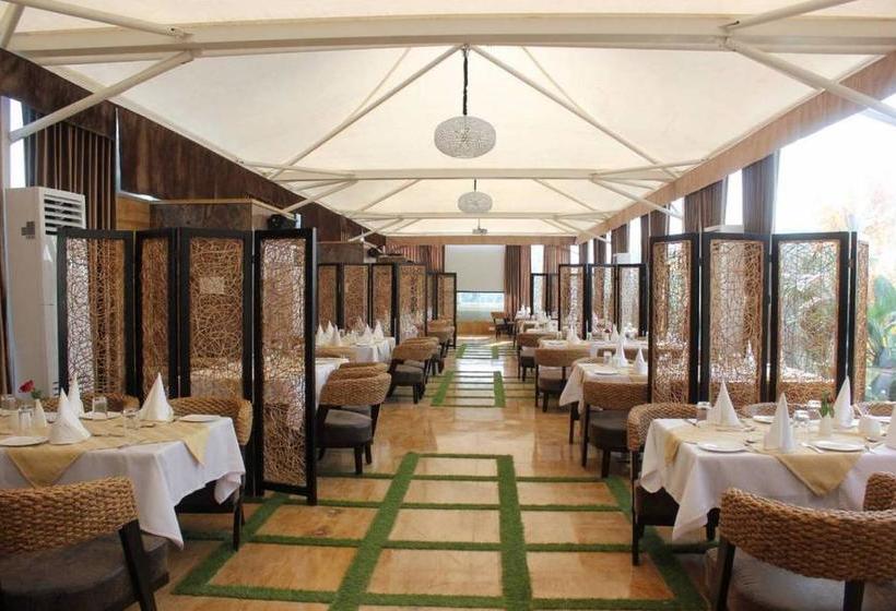 Hotel The Prabha International 8