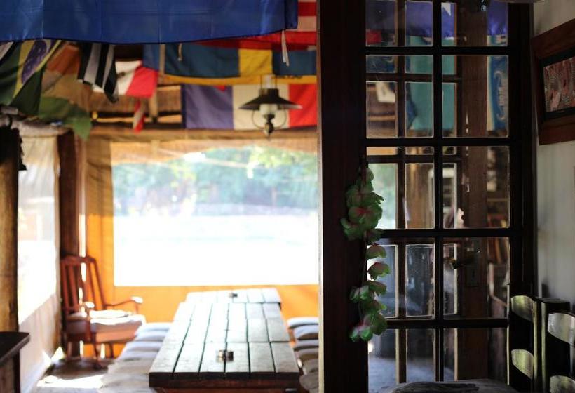 Hostel 1322 Backpackers Internasional 14