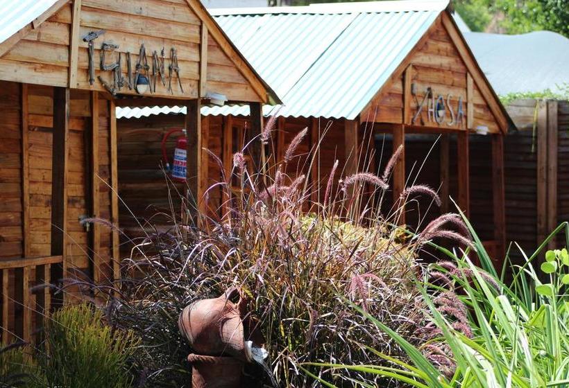 Hostel 1322 Backpackers Internasional 7