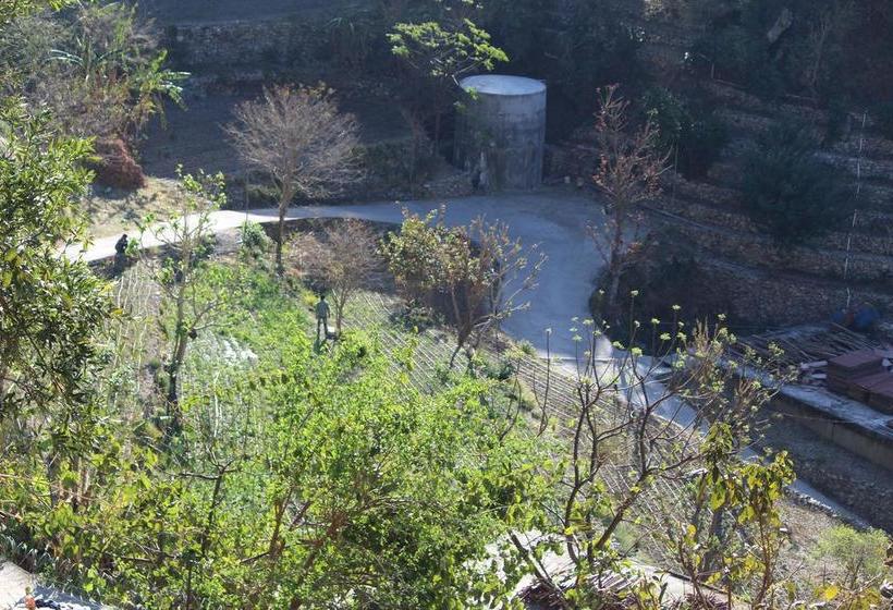 The Pahadi Organic Restaurant And Motel 13