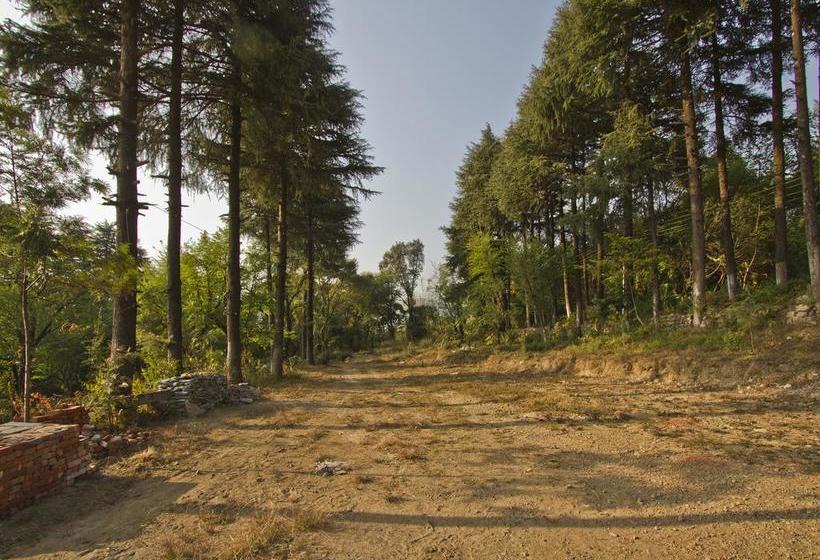 Hotel Devdar Resort 13