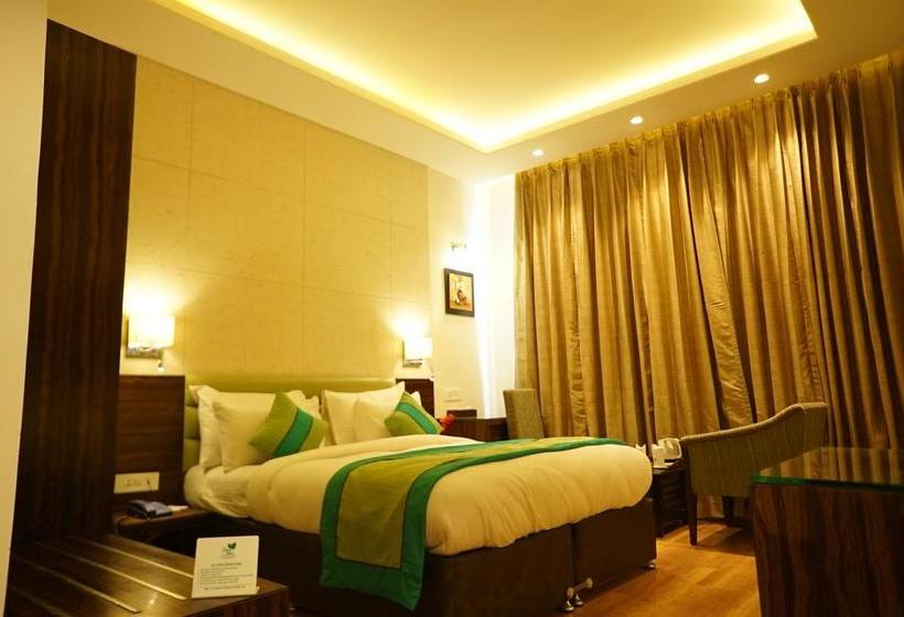 Hotel The Mystic Palms 3