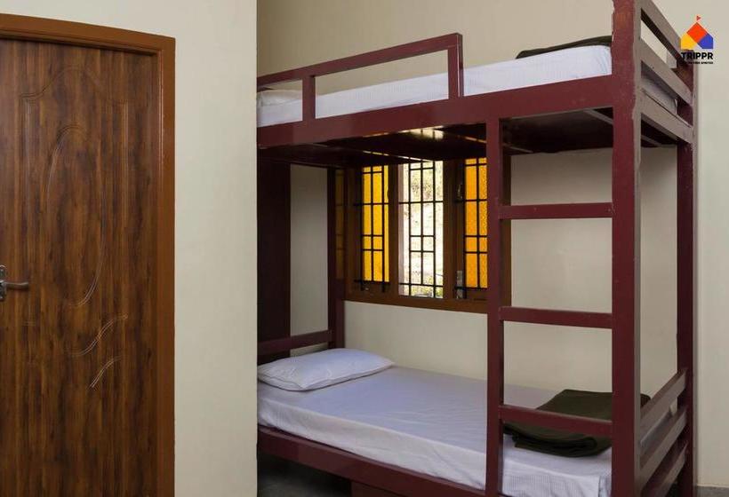 Trippr Kodaikanal Backpacker Hostel 4