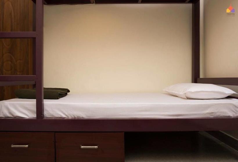 Trippr Kodaikanal Backpacker Hostel 5