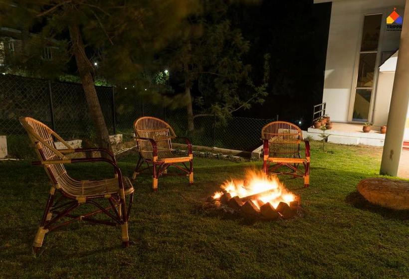 Trippr Kodaikanal Backpacker Hostel 6