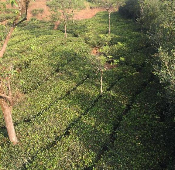 Resort Snow Valley Residency 1