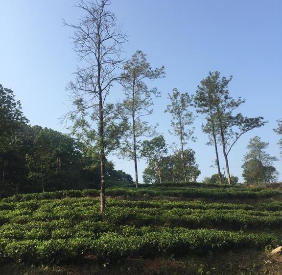 Resort Snow Valley Residency 4