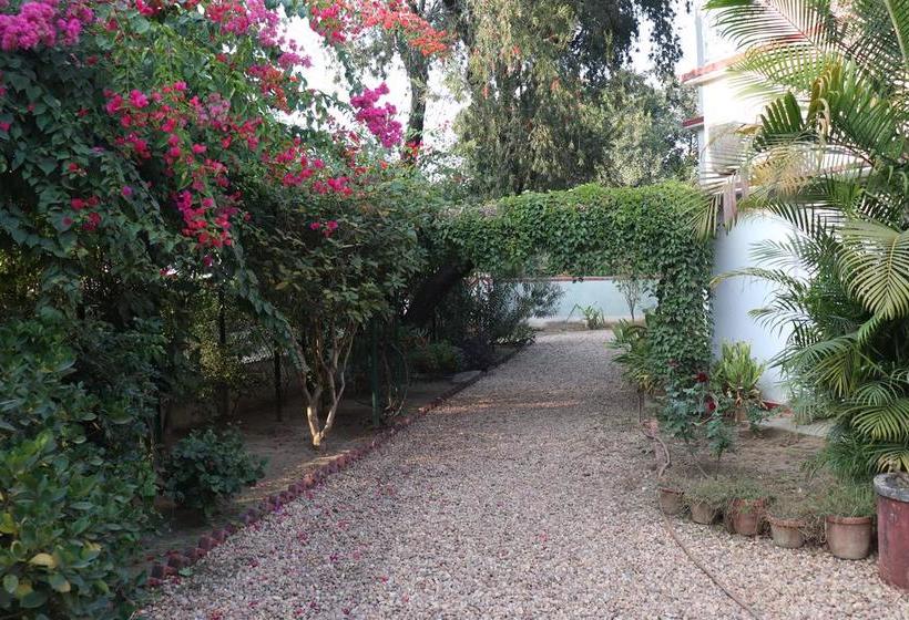 Bed and Breakfast Saptarshi Bungalow 8