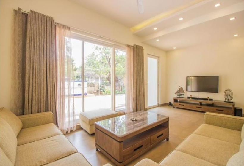 Hotel Velvet Touch 14