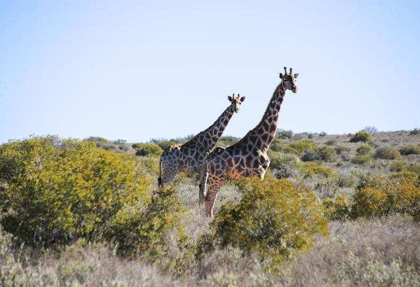 Hotel Plaas Goeie Hoop 2