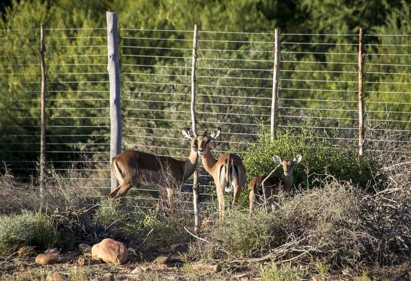 Hotel Plaas Goeie Hoop 3