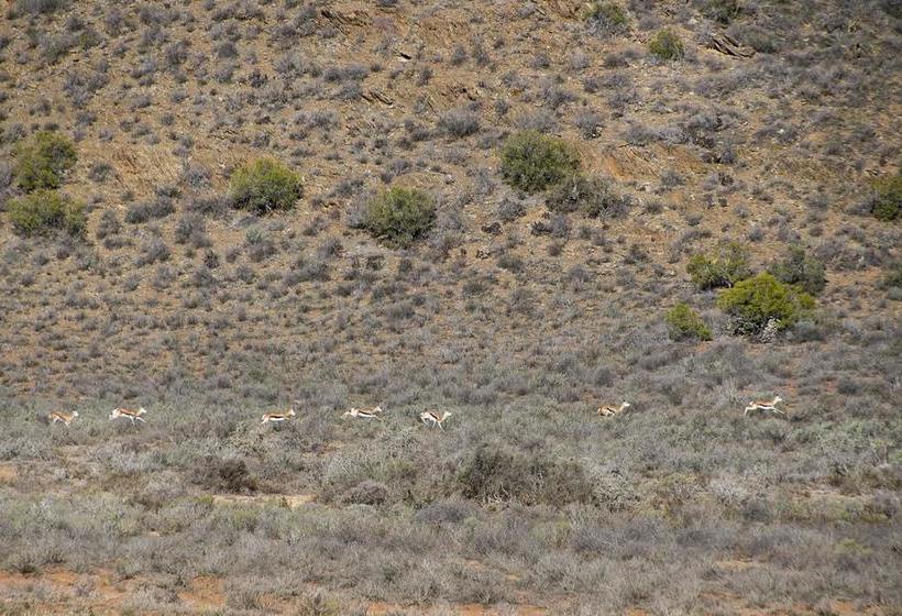 Hotel Plaas Goeie Hoop 5