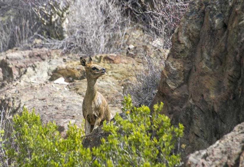 Hotel Plaas Goeie Hoop 6