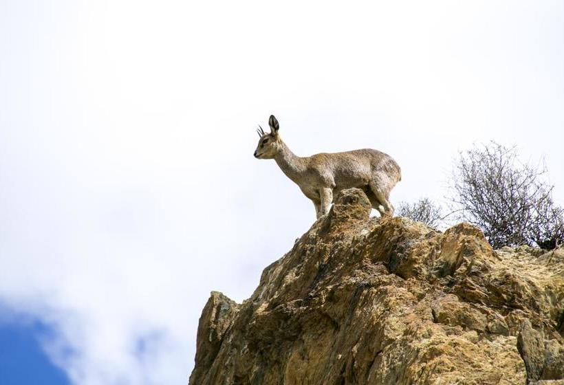 Hotel Plaas Goeie Hoop 7