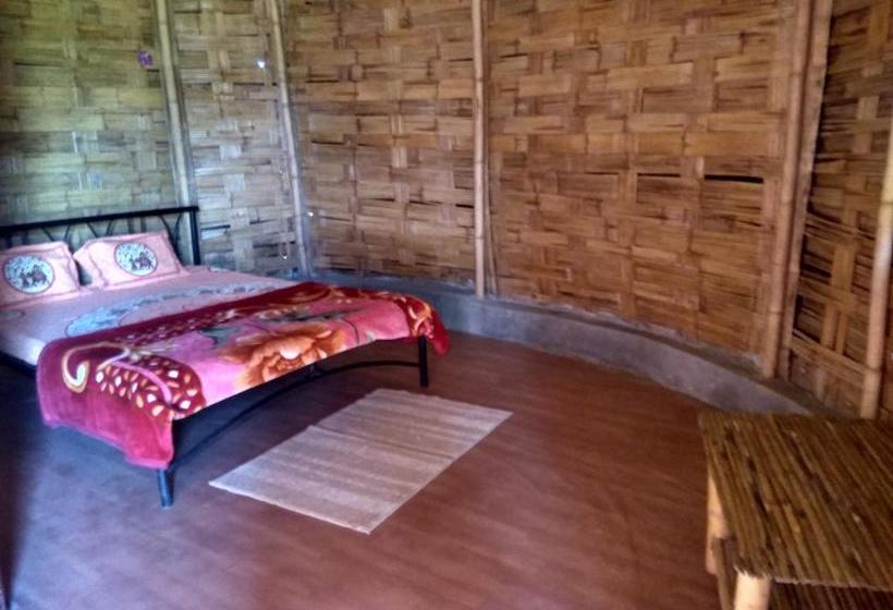 The Hillview Camp Resort 11