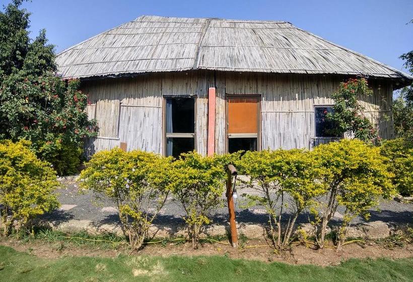 The Hillview Camp Resort 17