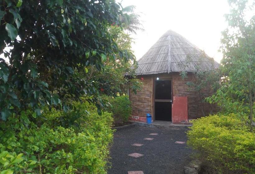 The Hillview Camp Resort 6